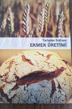 Tarladan Sofraya EKMEK ÜRETİMİ